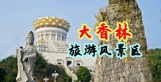 兽人操逼动漫中国浙江-绍兴大香林旅游风景区